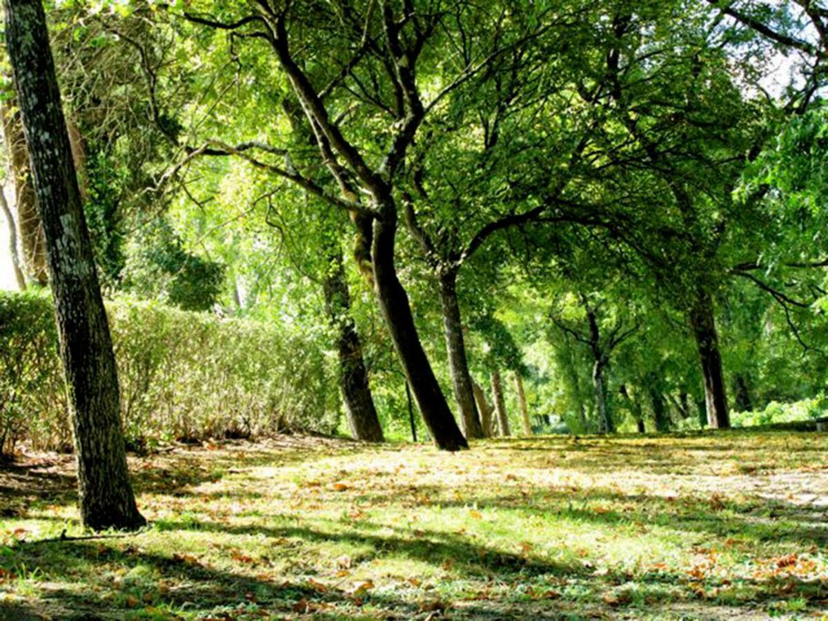 Vila Quinta Do Sanguinhal Rio Maior Exteriér fotografie
