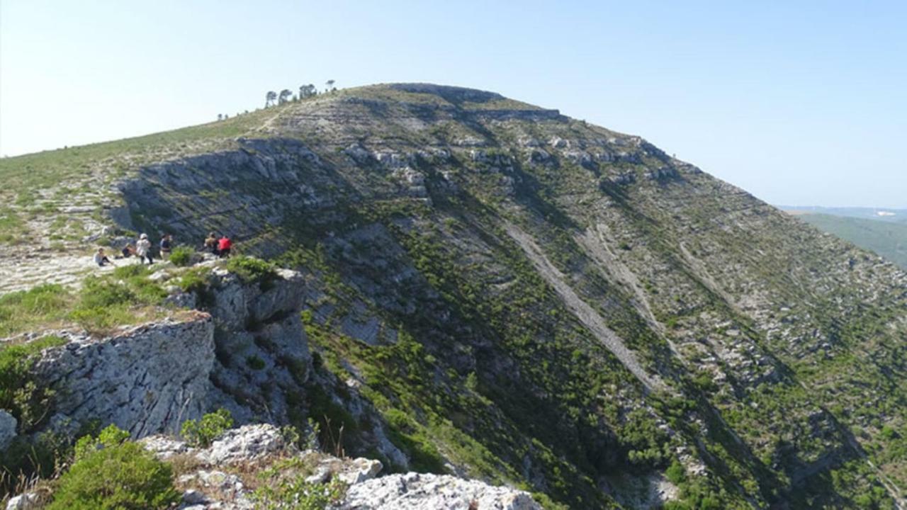 Vila Quinta Do Sanguinhal Rio Maior Exteriér fotografie